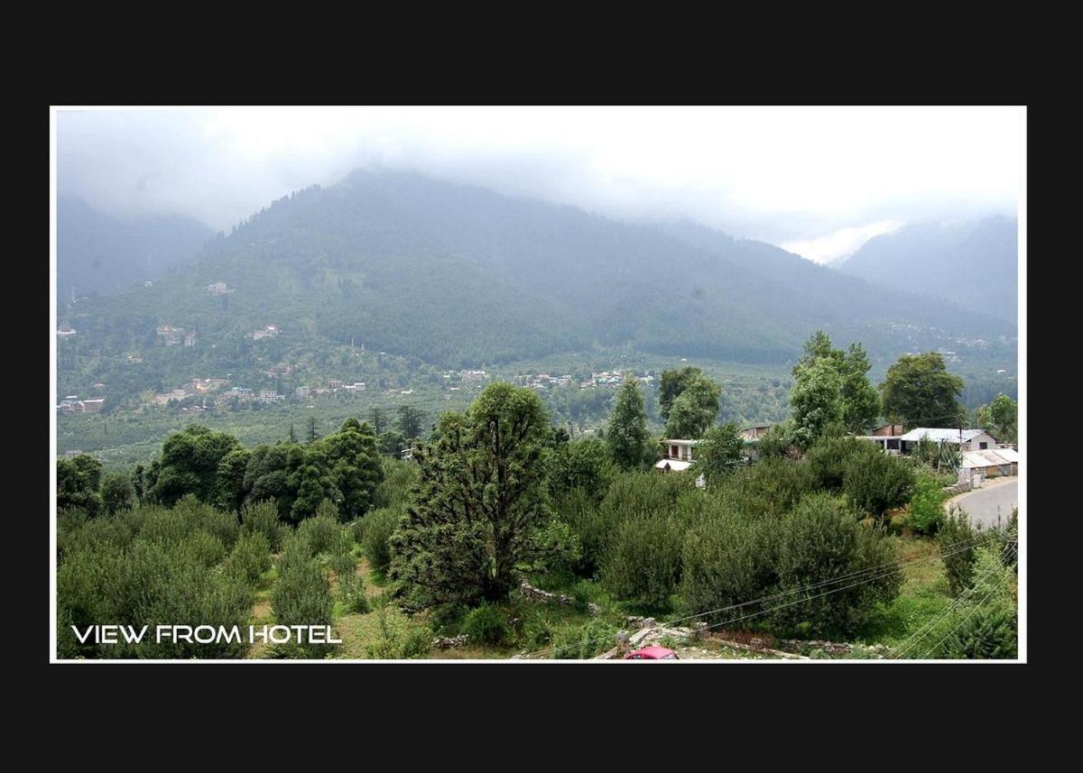 Hotel Palace Manali (Himachal Pradesh)
